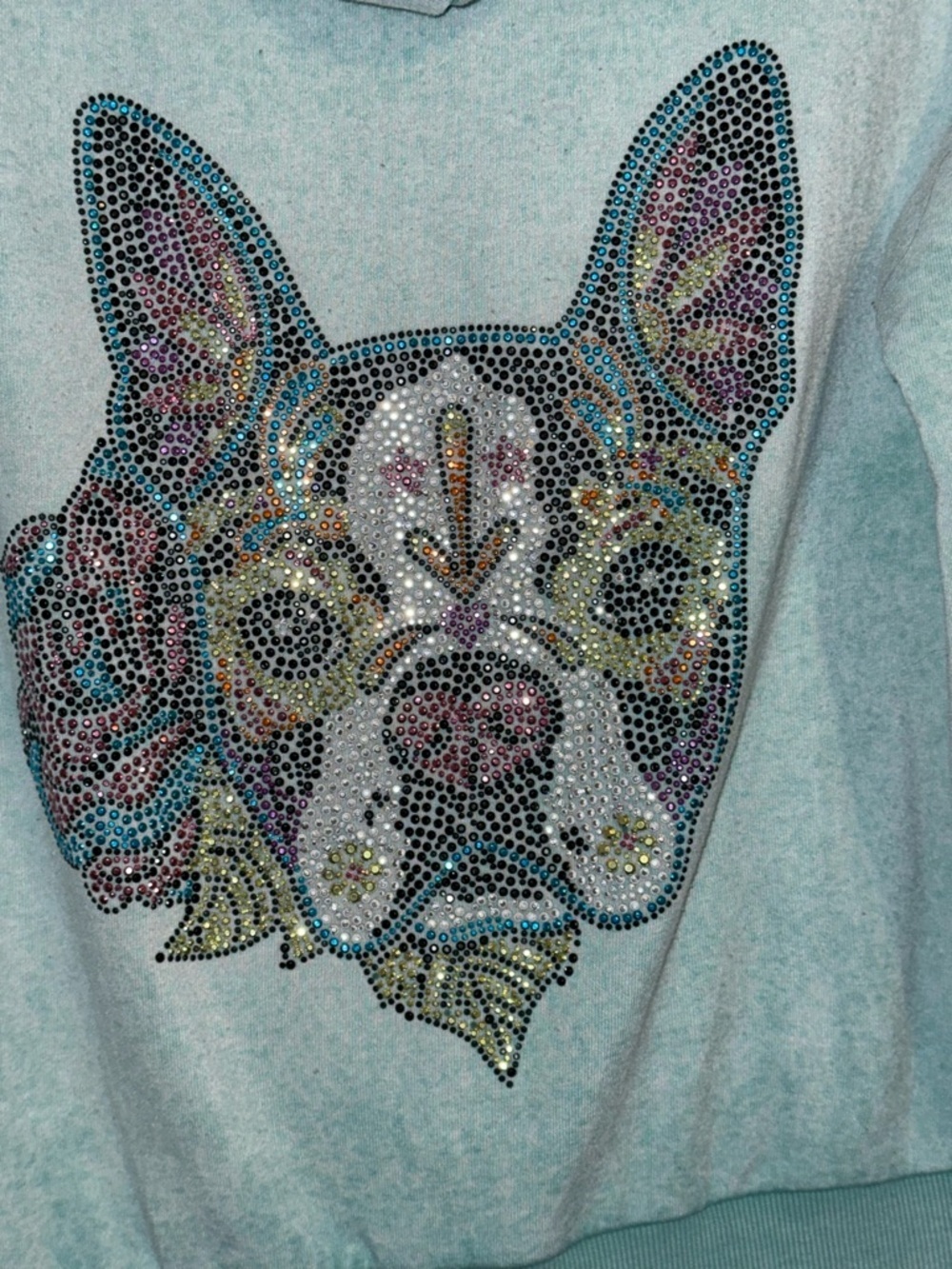 Butter Super Soft Rhinestone French Bulldog Zip Hoodie XL Aqua Dog Graphic - Picture 6 of 8